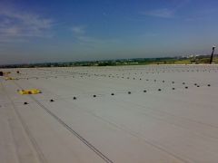 Lijmdak pvc vrieshuis 11.400m2